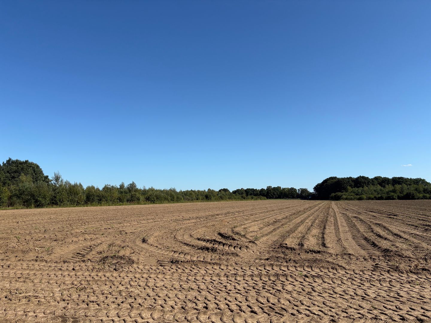 Bekijk foto 3 van Meerlosebaan