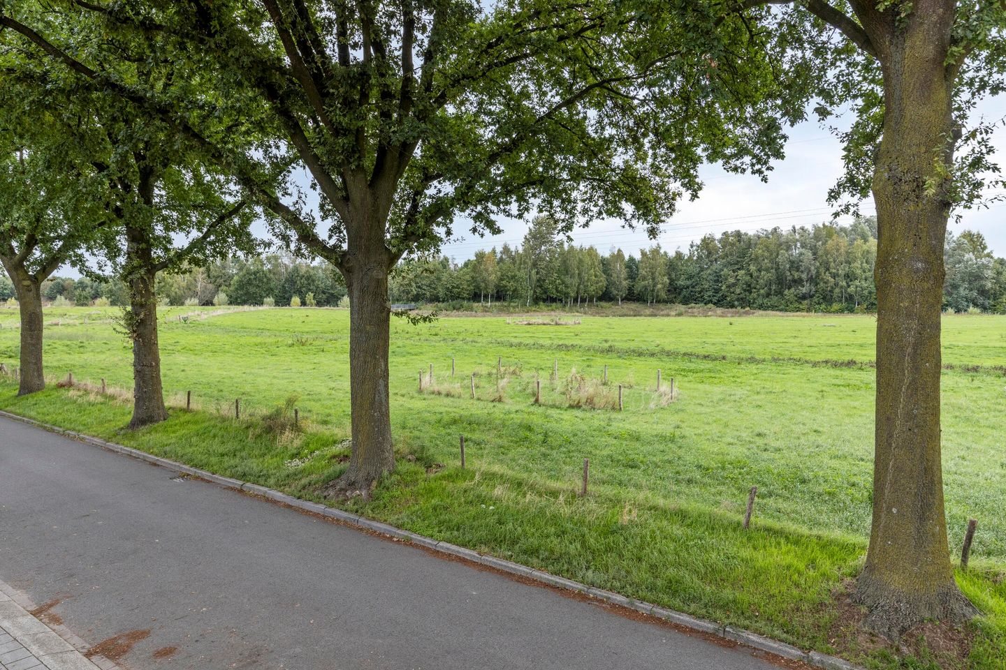 Foto 4 van Bosweg 69