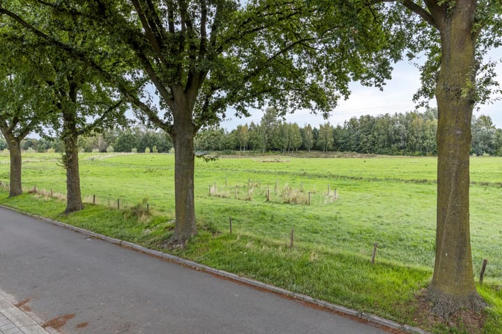 Foto 4 van Bosweg 69