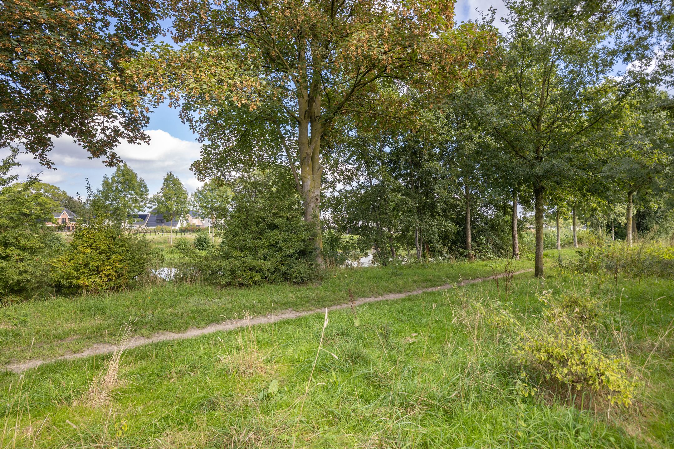 Photo 24 of Overcinge 60