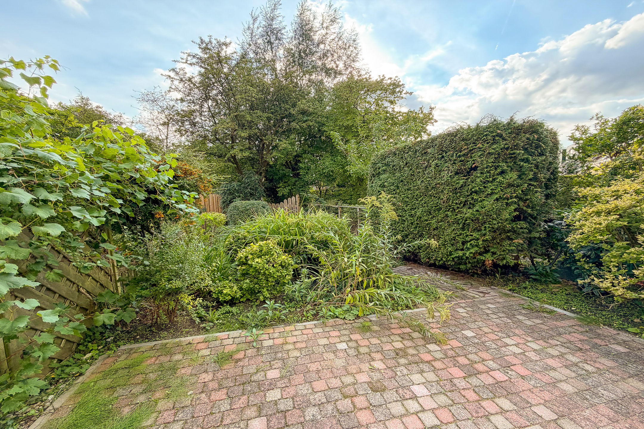 Photo 36 of Sonderholm 74