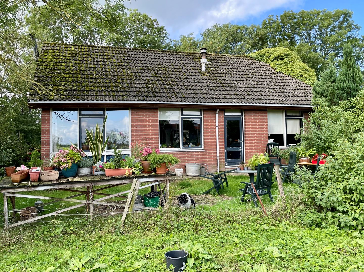 Bekijk foto 4 van Buitendijks 4