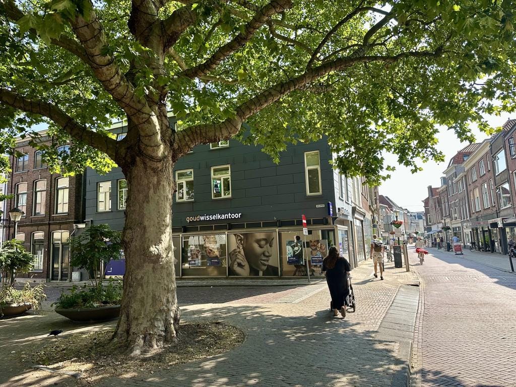 Foto 11 van Melkpad 2