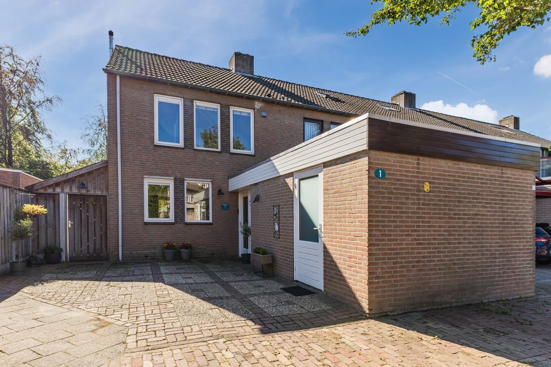 Foto 1 van Schutsboom 1
