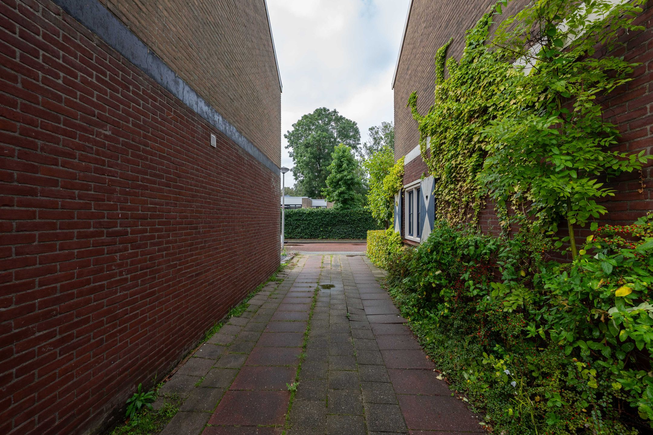 Foto 48 van Steenhoekstraat 11