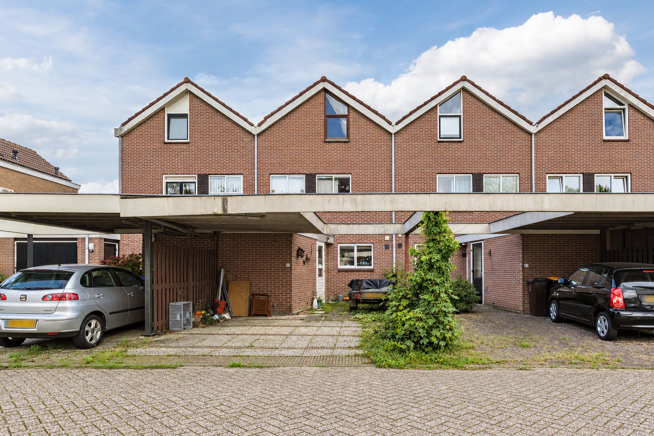 Wallestein 59 