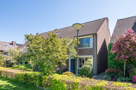 Steenstraat thumbnail