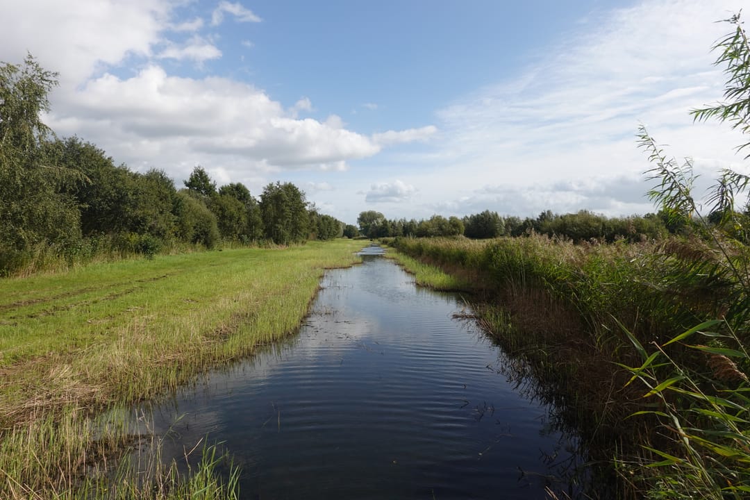Foto 41 van Rietveen 43