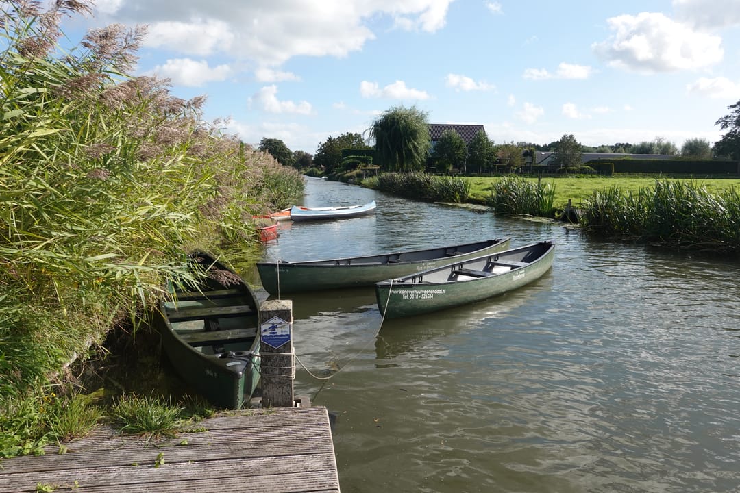 Foto 47 van Rietveen 43
