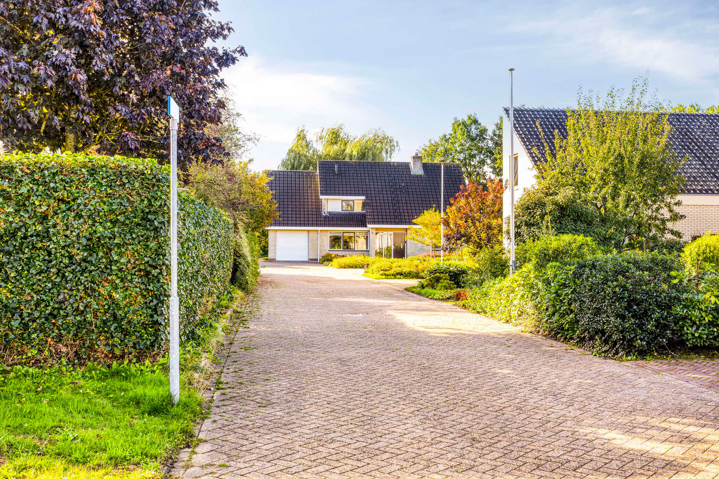 Photo 49 of Elzenhage 1-A