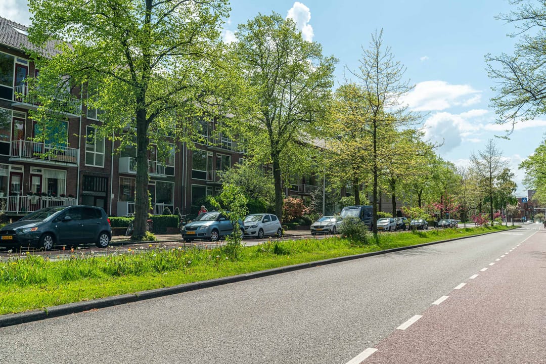 Foto 46 van Burggravenlaan 210