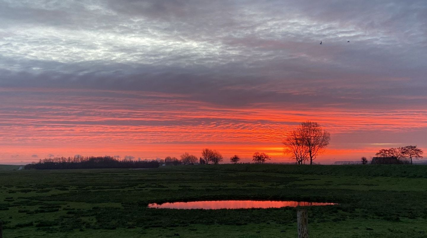 Foto 40 van Hogeweg 1