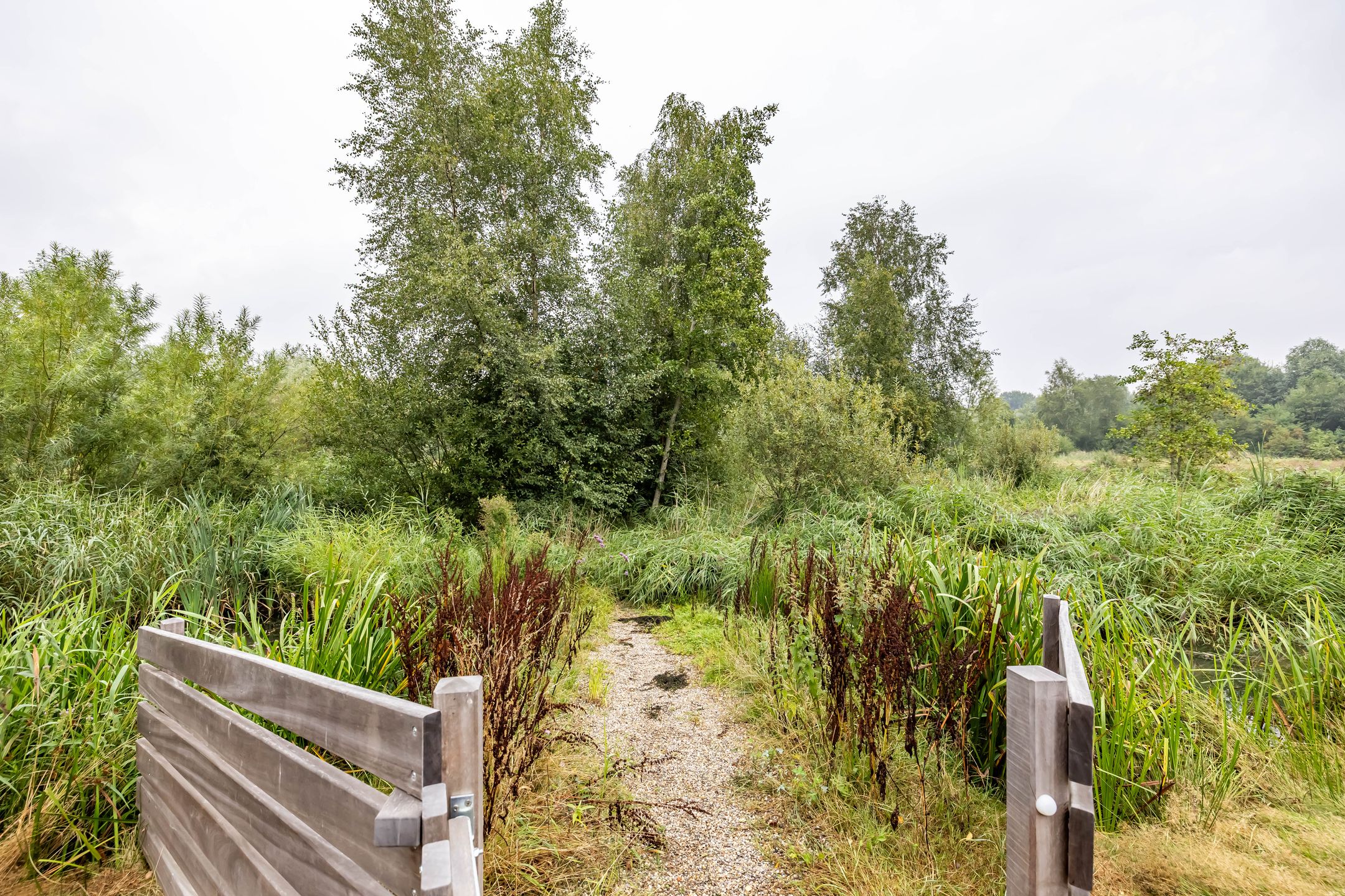 Foto 45 van Humsterlandlaan 19