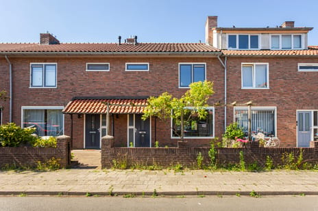 Geelgorsstraat thumbnail
