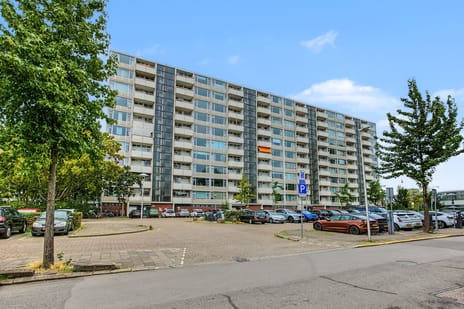 Eisenhowerlaan thumbnail