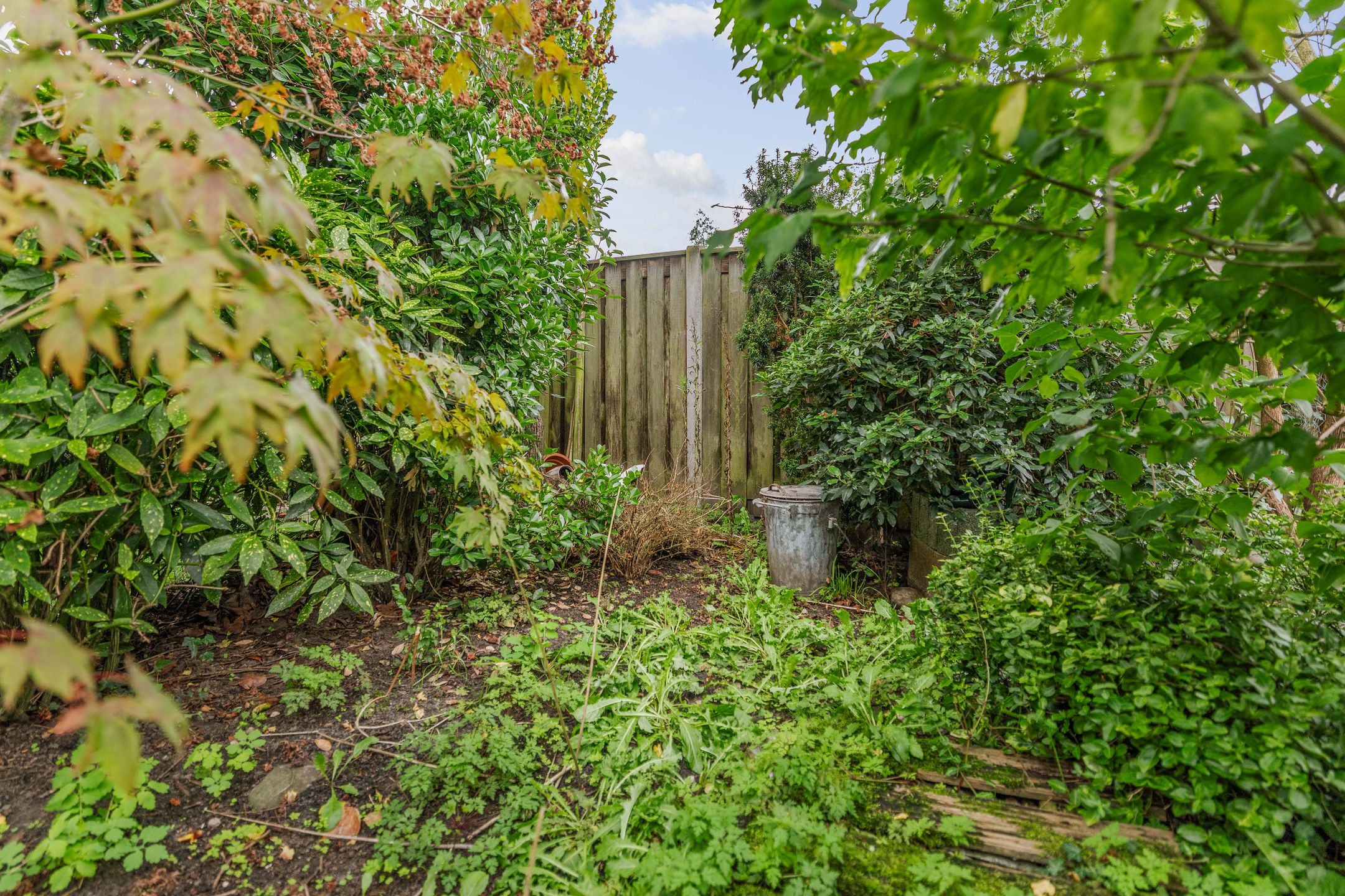 Photo 30 of Veldhommel 29