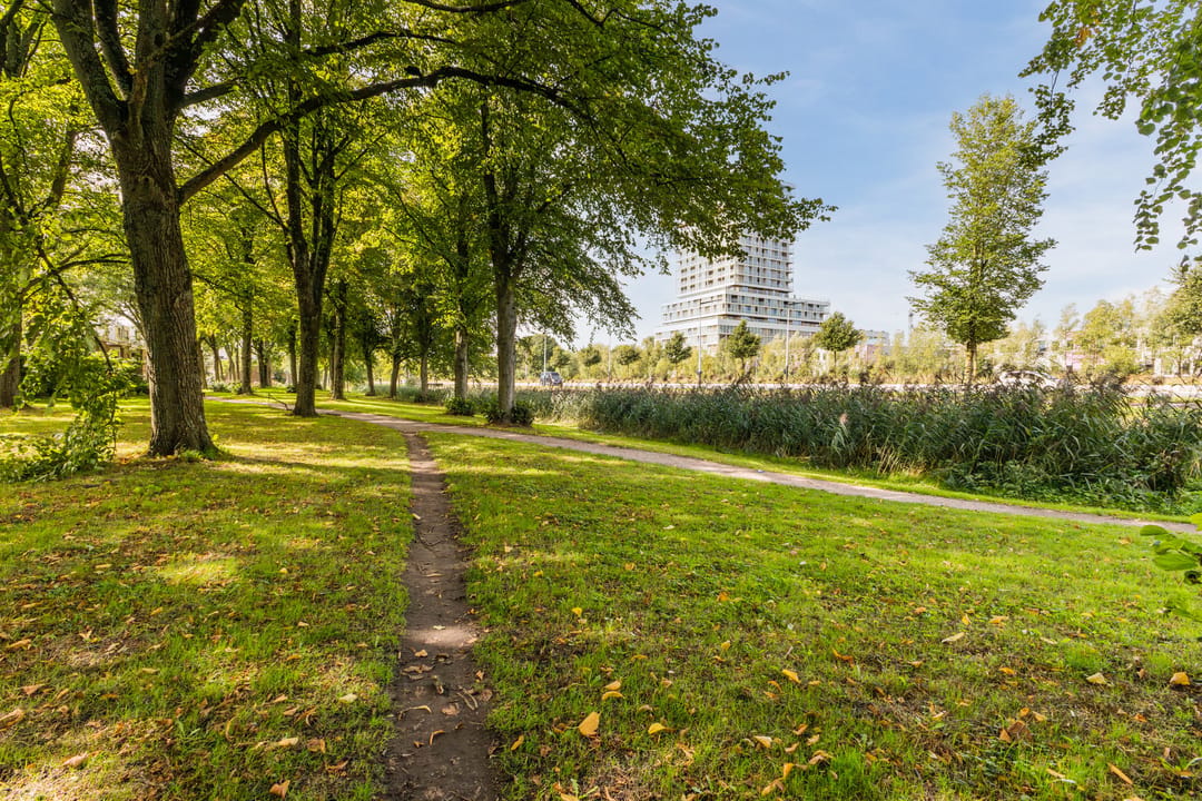 Photo 31 of Burgemeester Fockstraat 170-1