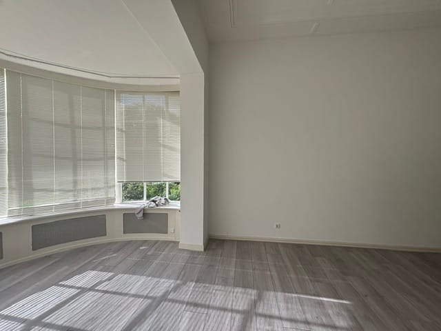 Foto 4 van Bothaplein 1