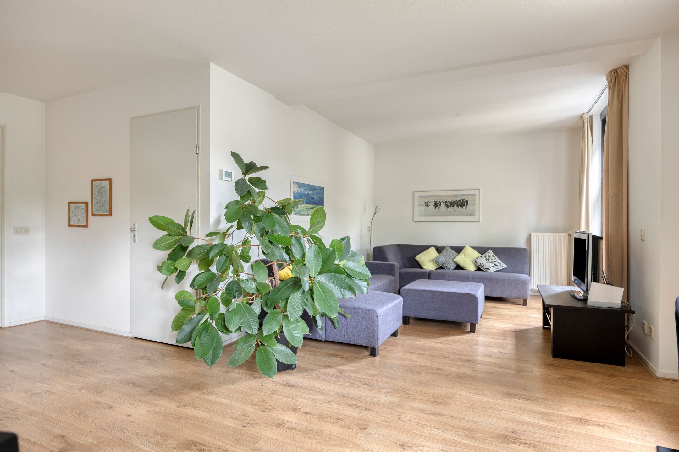 Photo 9 of Patronaatstraat 14-A