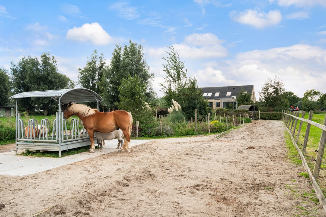 Photo 52 of Nieuwkoopseweg 48-A