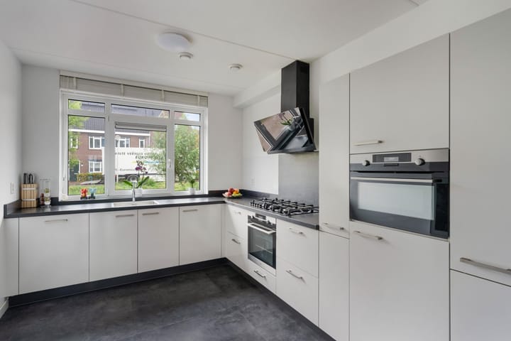 Foto 4 van Lint van Ackerswoude 46