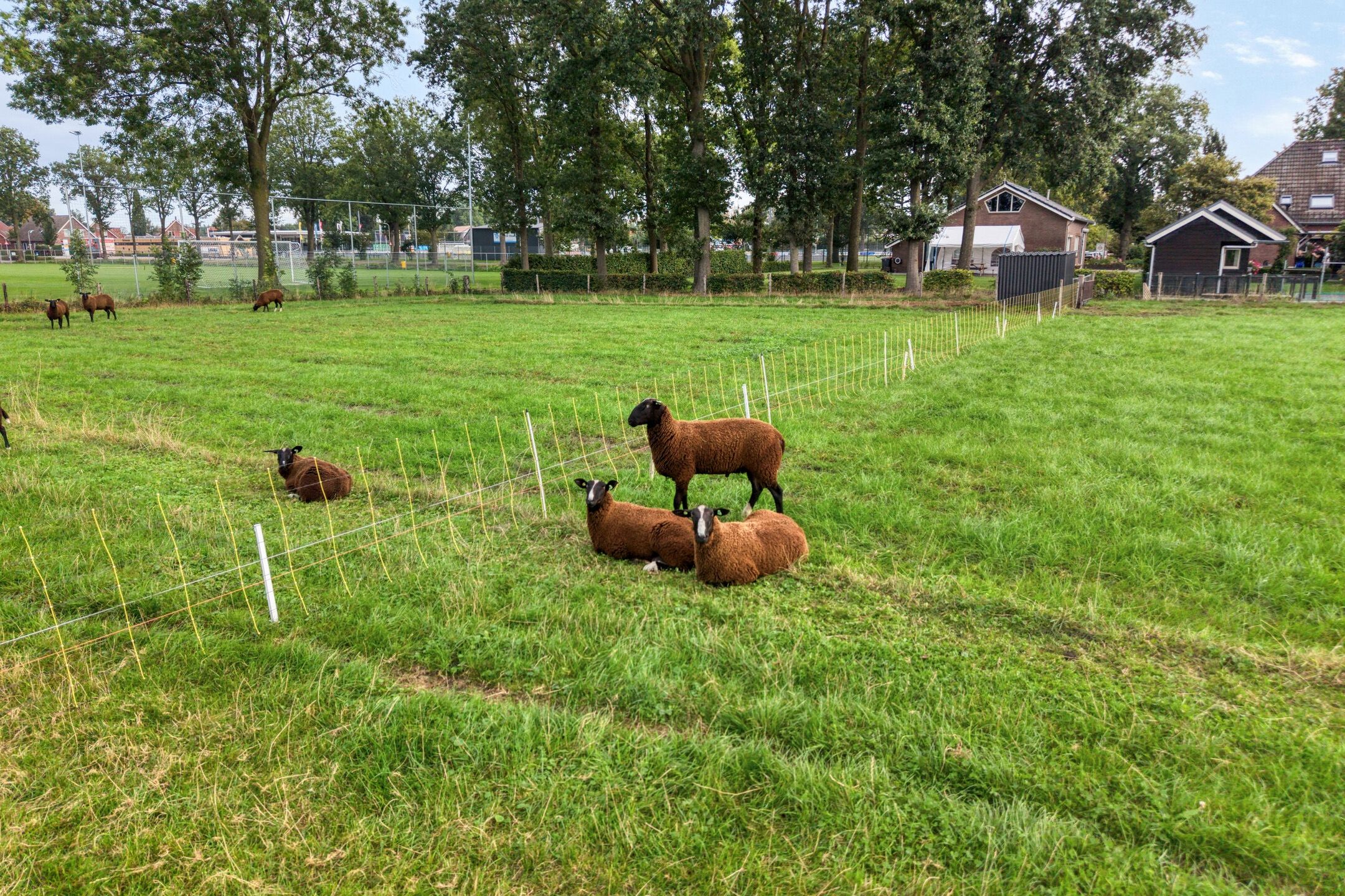 Foto 3 van Horstra's wijk 9