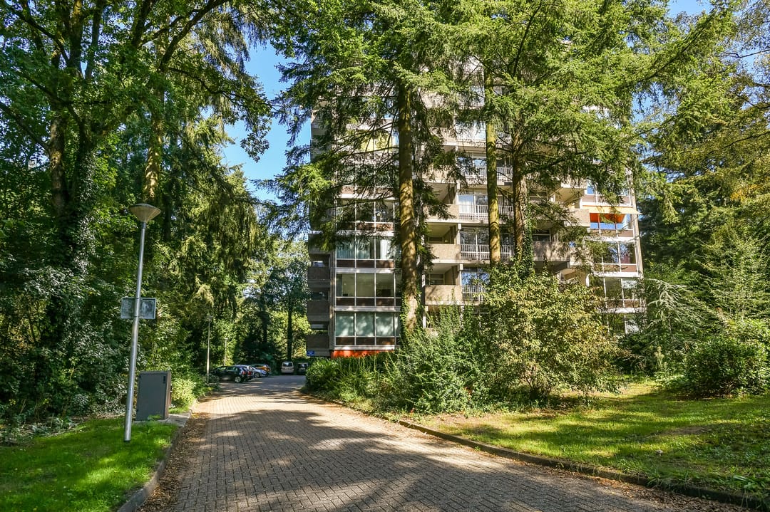Foto 1 van Reigersberg 15