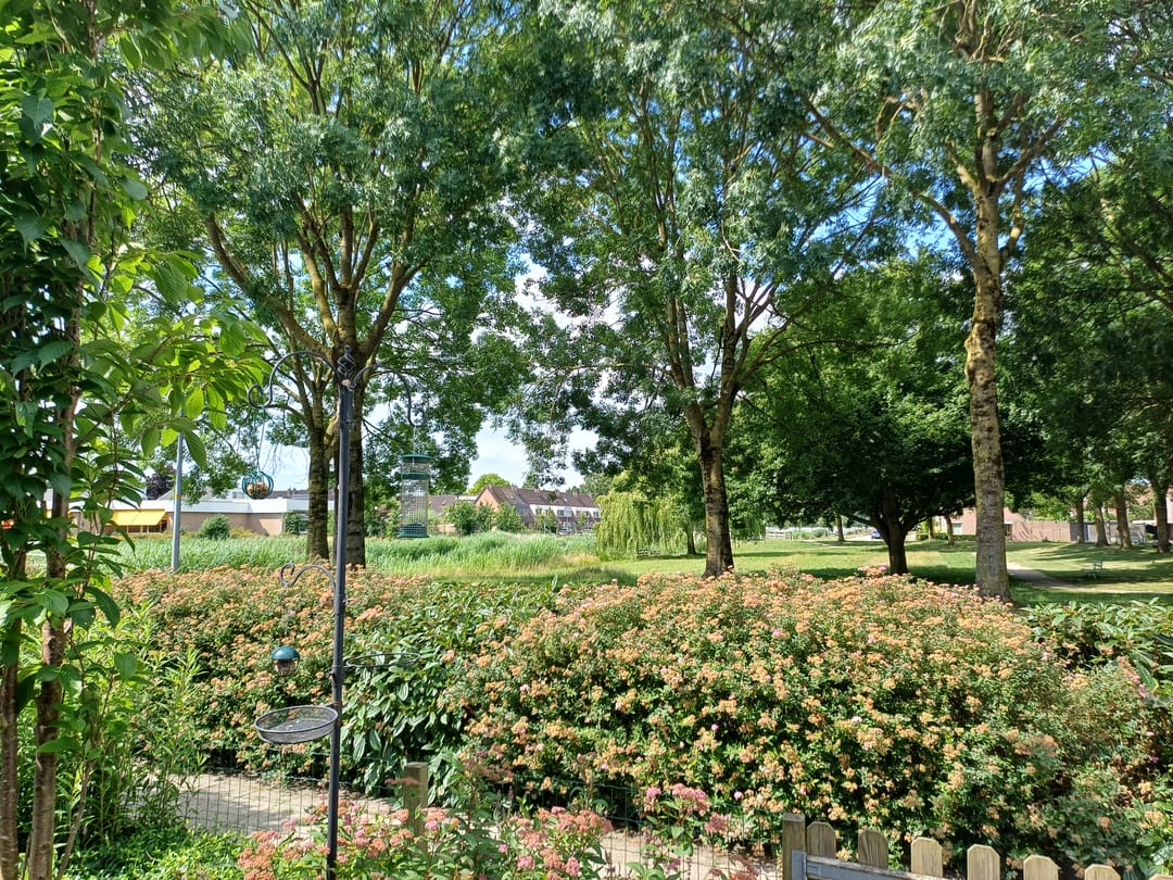 Foto 41 van Grote Plaat 47
