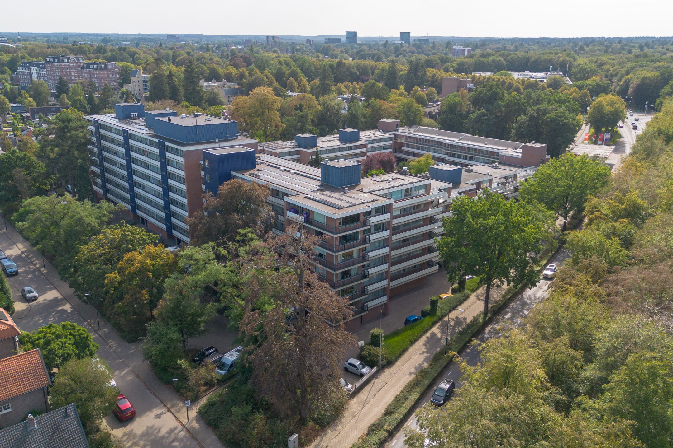 Loseweg 331 