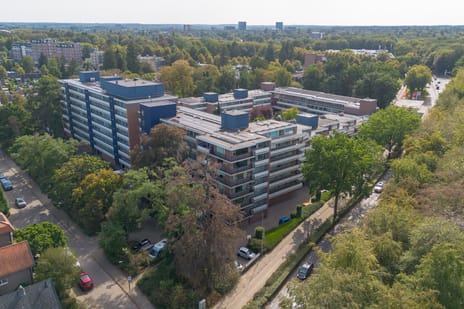 Loseweg thumbnail
