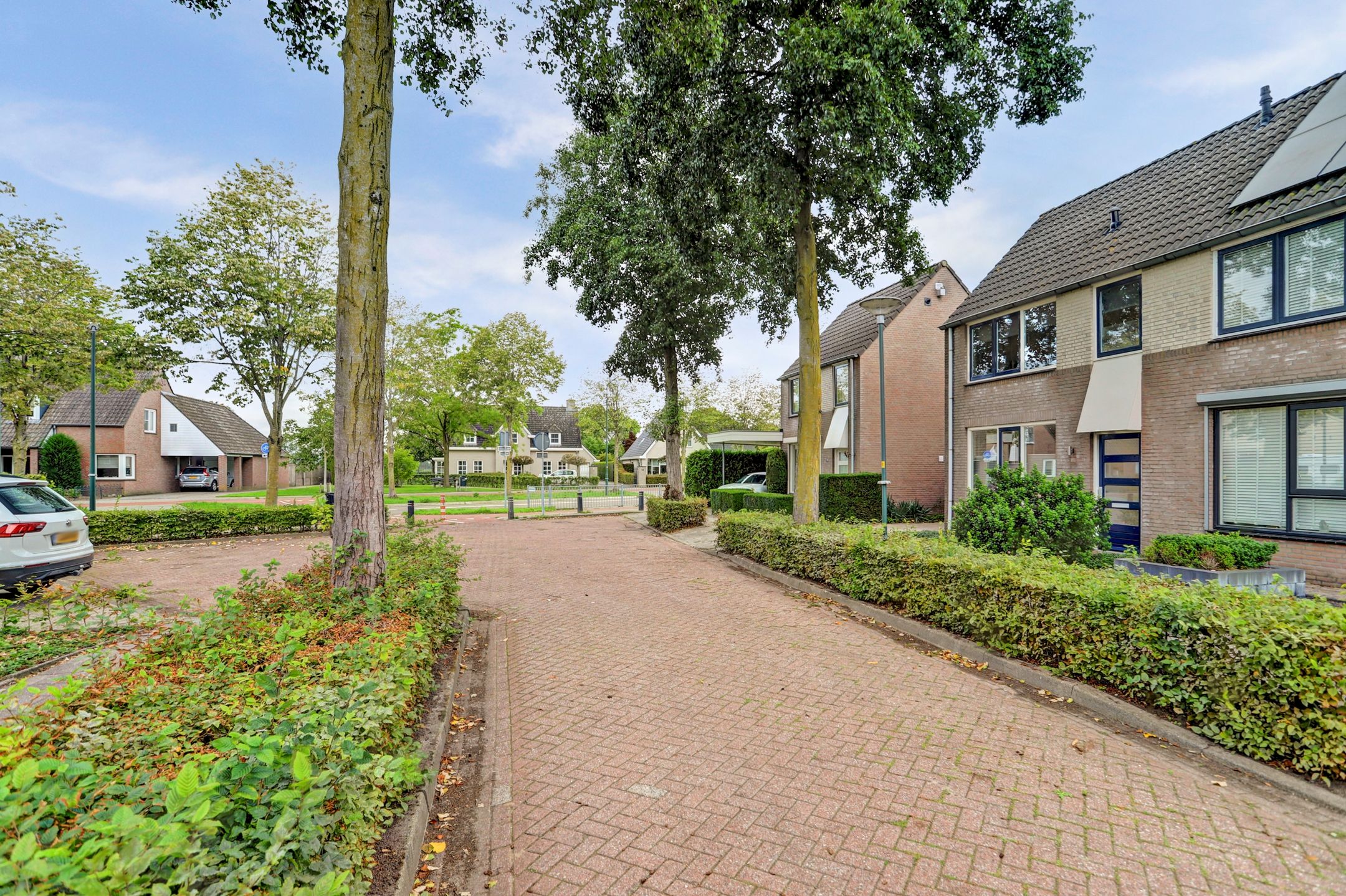 Photo 9 of Vogelwikke 38