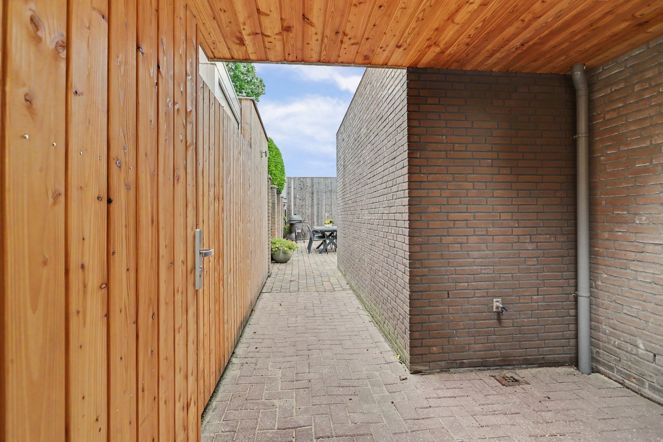 Photo 51 of Vogelwikke 38