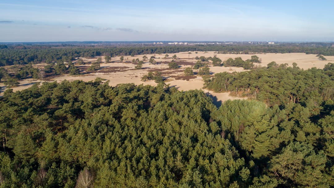 Photo 7 of de Beaufortlaan 44