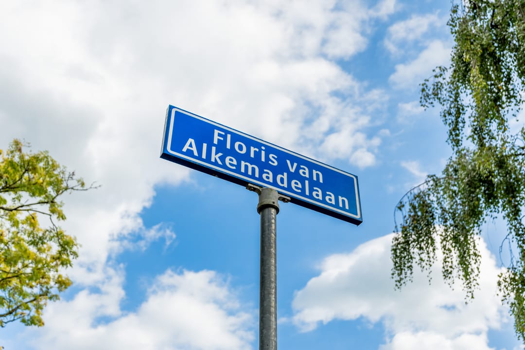 Photo 37 of Floris van Alkemadelaan 8