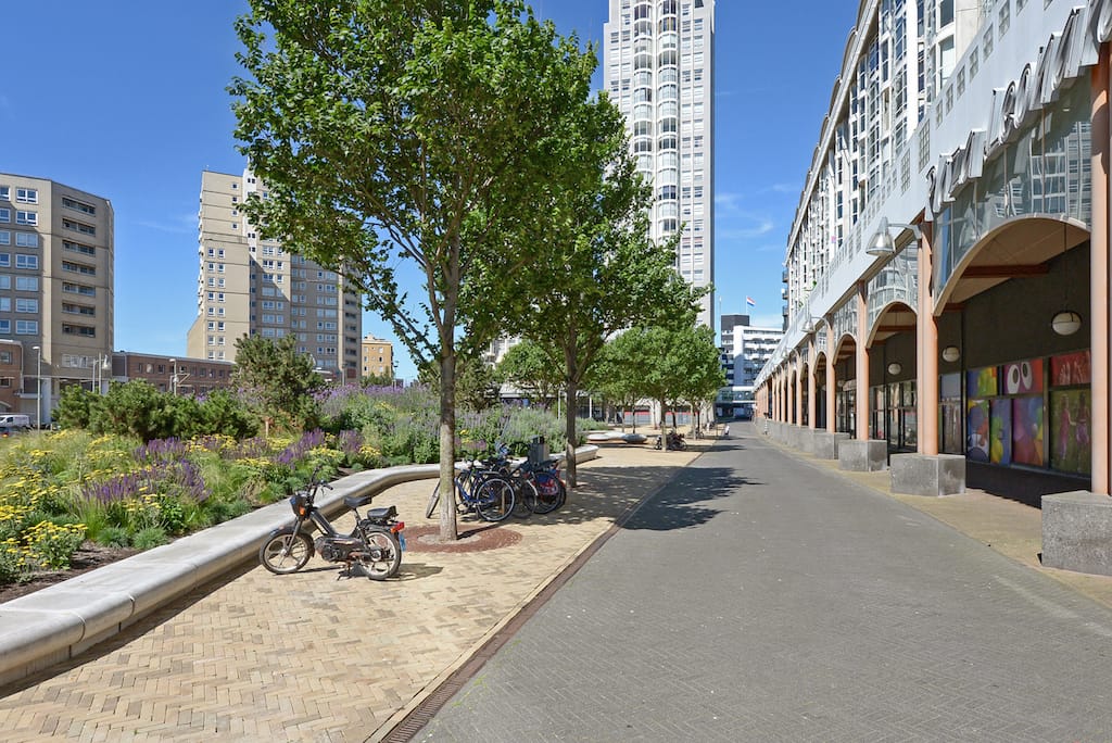 Foto 4 van Palaceplein 51