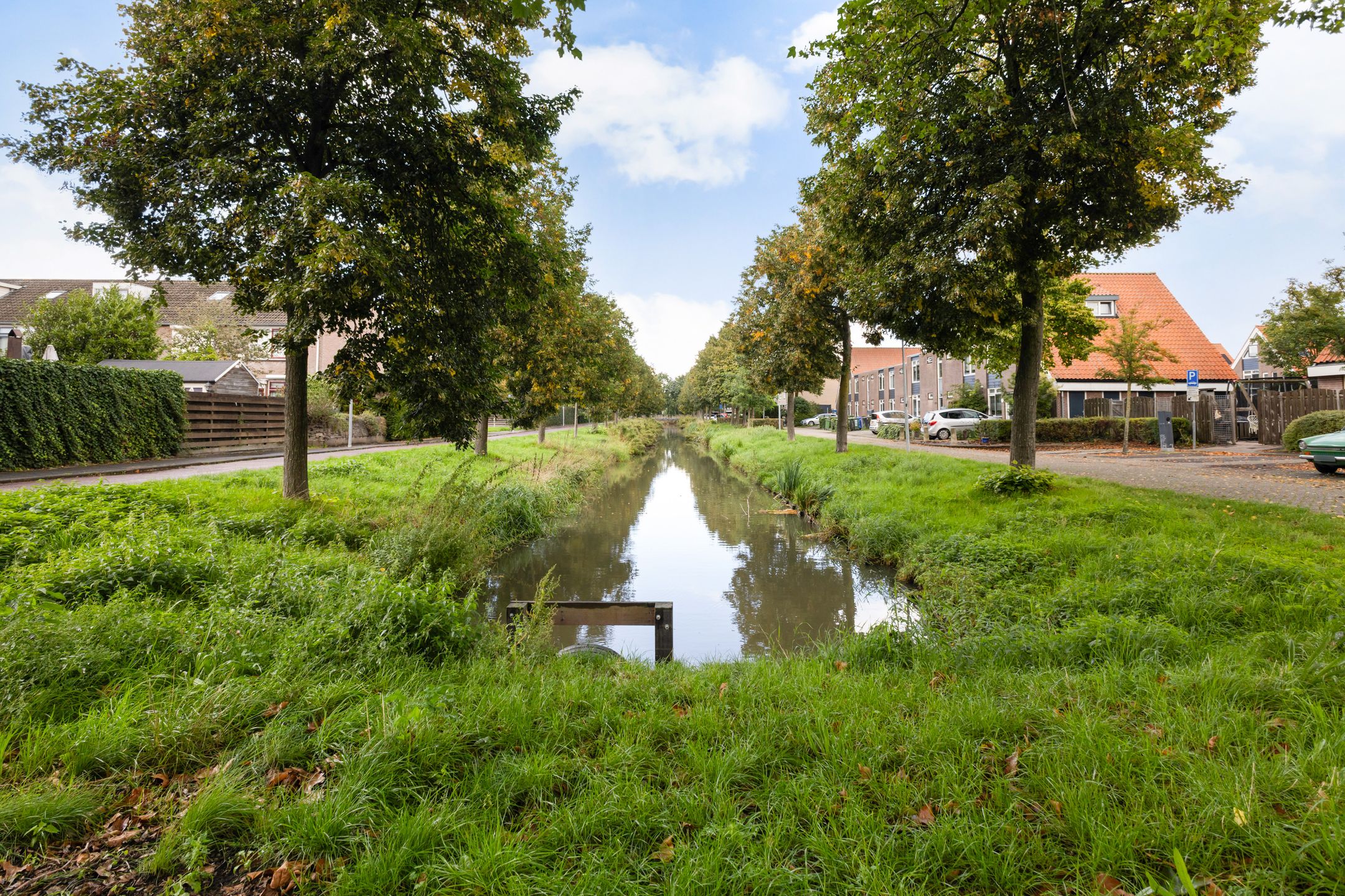 Foto 45 van Weidebloemenlaan 204