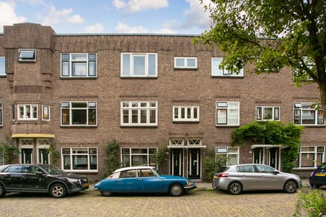 Boomstraat thumbnail