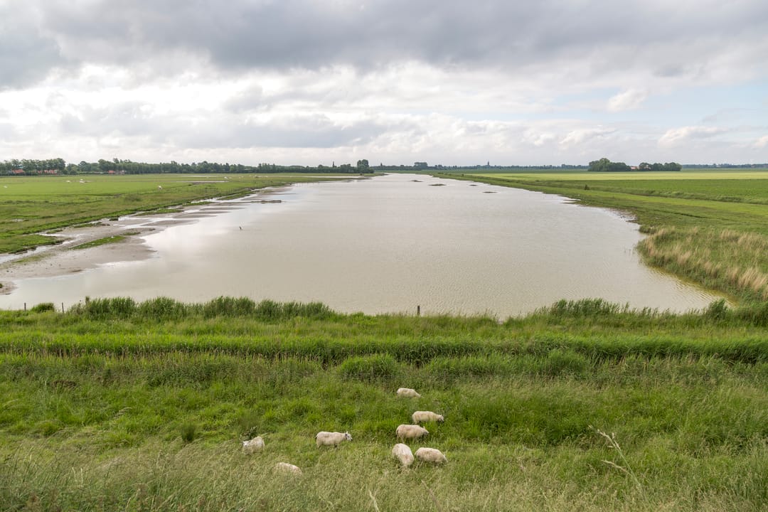 Photo 38 of Westelijke Kanaalweg 37