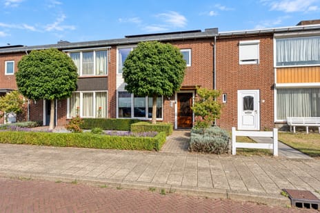 Eekhoornstraat thumbnail