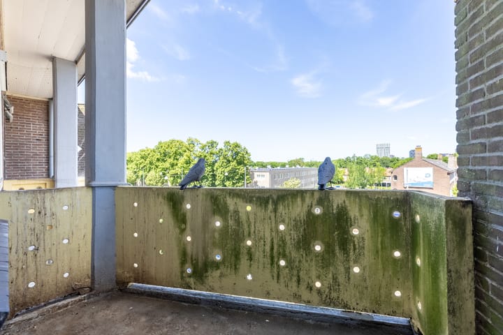 Foto 4 van Theodorus Dobbestraat 72-3