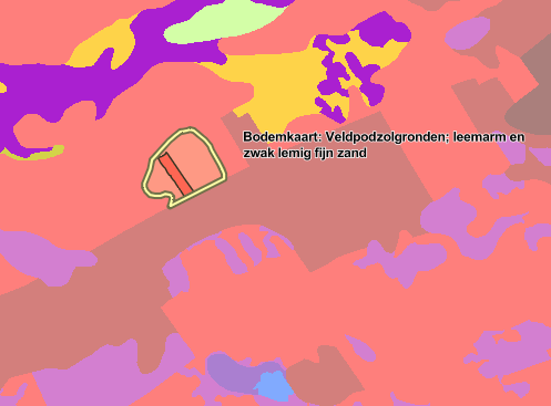 Butewei - Lippenhuizen - Afbeelding 6