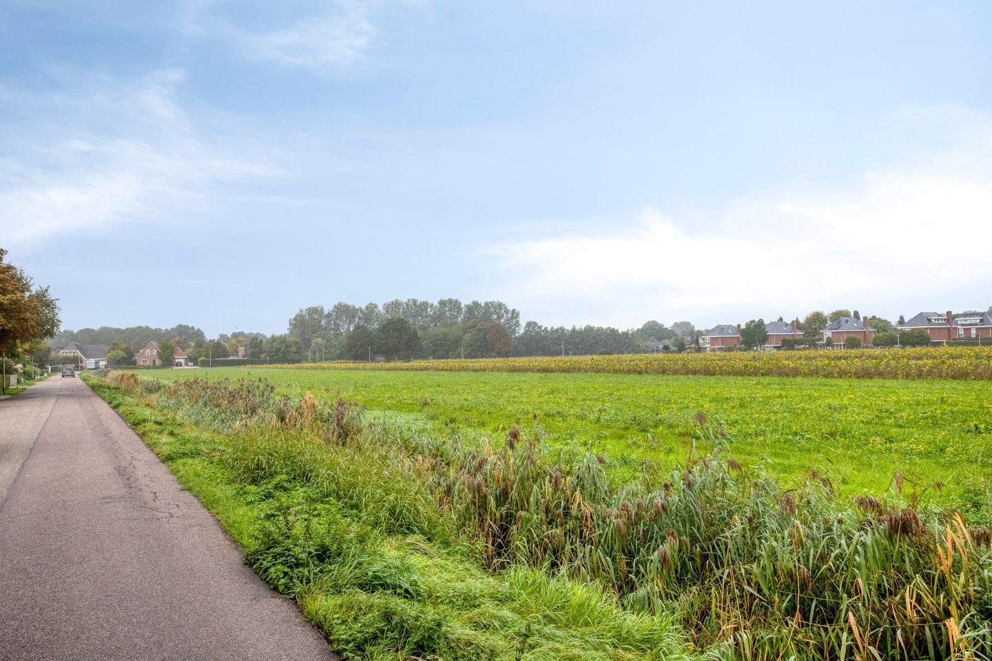 Photo 35 of Korteweg 14