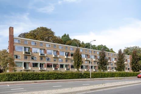 Oliemolensingel thumbnail