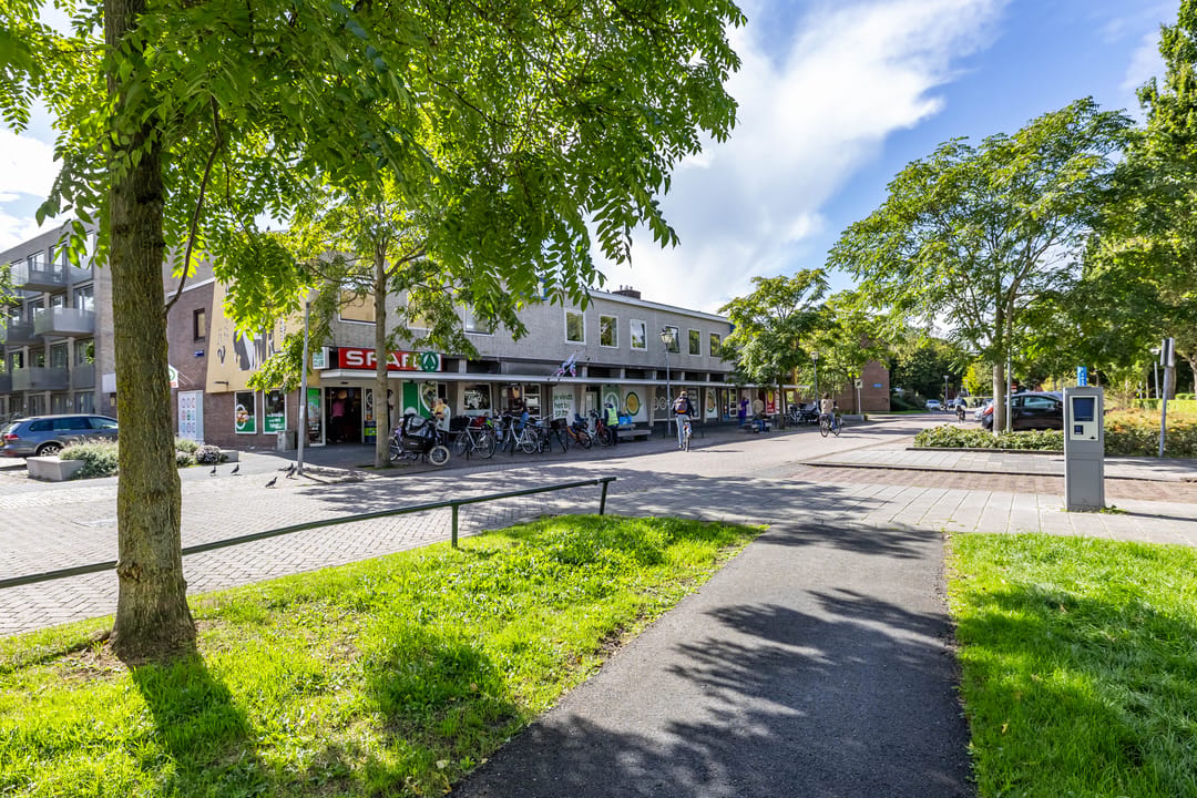 Photo 32 of Frans van Mierisstraat 4