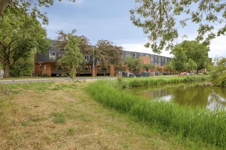 Jan Steenstraat thumbnail