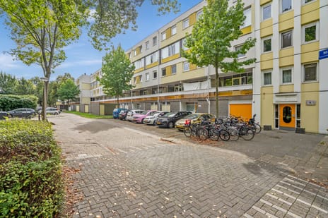 Montgomerylaan thumbnail