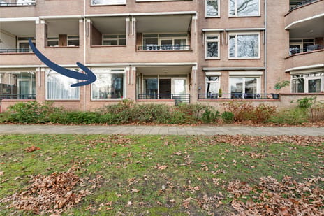 Raadhuislaan thumbnail