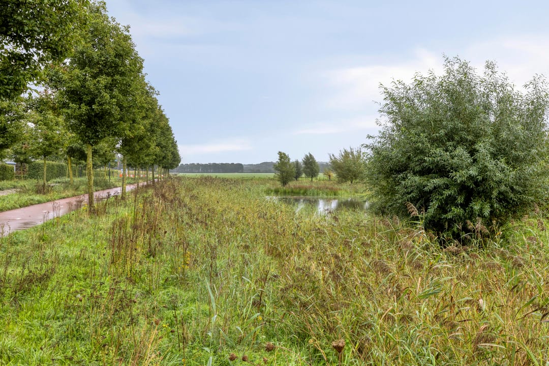 Foto 46 van Zoudtlandlaan 14