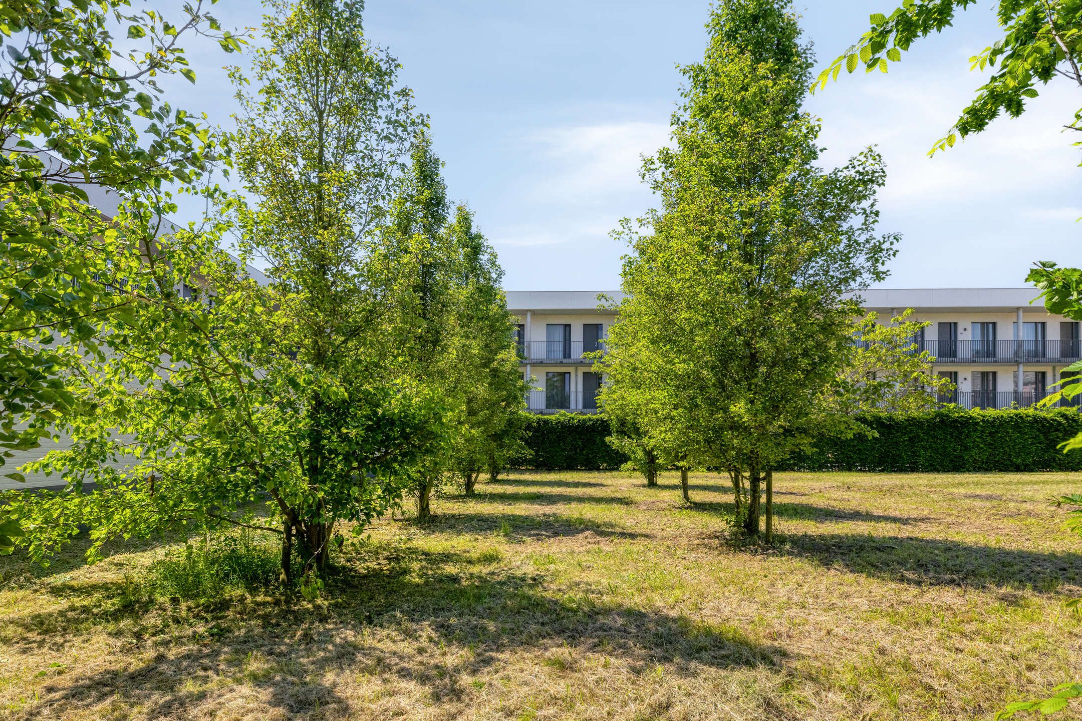 Photo 42 of Molenstraat 15-B