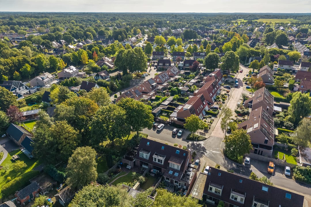 Foto 41 van Speenkruid 11